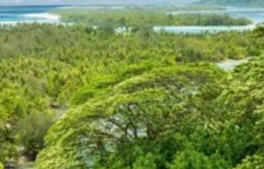 Quattro giorni a Huahine