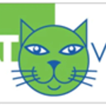 Cat Viaggi