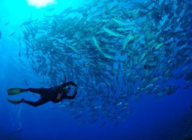 Sea Passion