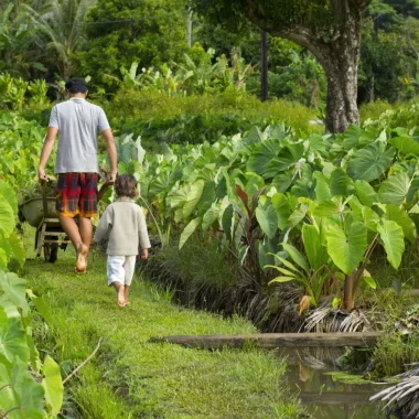 Usanze tradizionali tahititane e turismo sotenibile