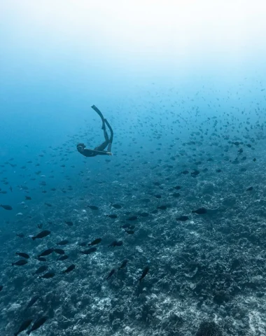 Attività a Fakarava