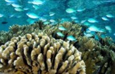 Luna di miele LGBTQ+ nelle Isole di Tahiti